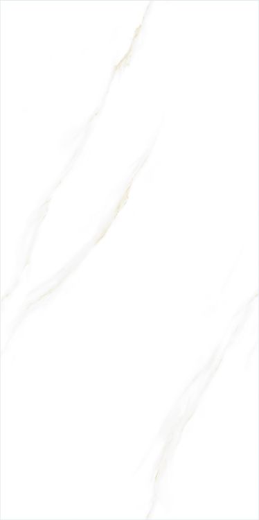 Time Cielo Matte 24 x 48